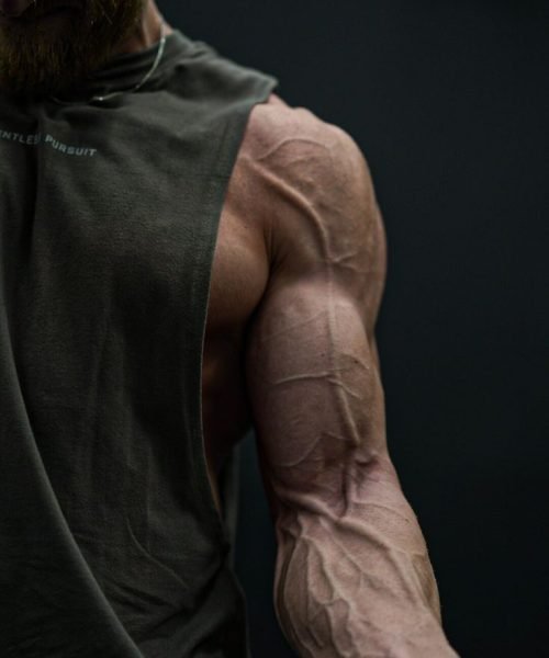 build massive biceps